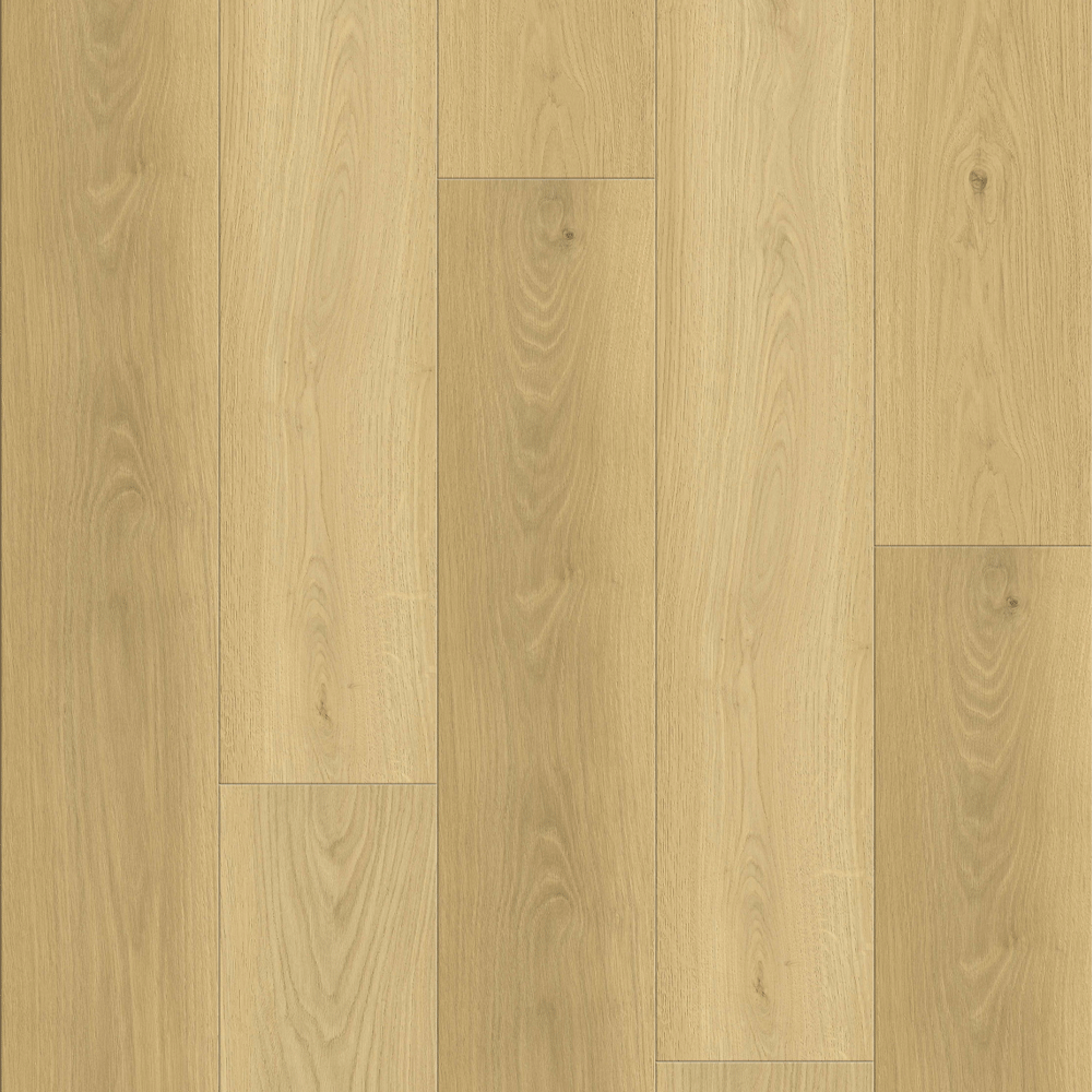 AP6517 Lazio Oakel City
